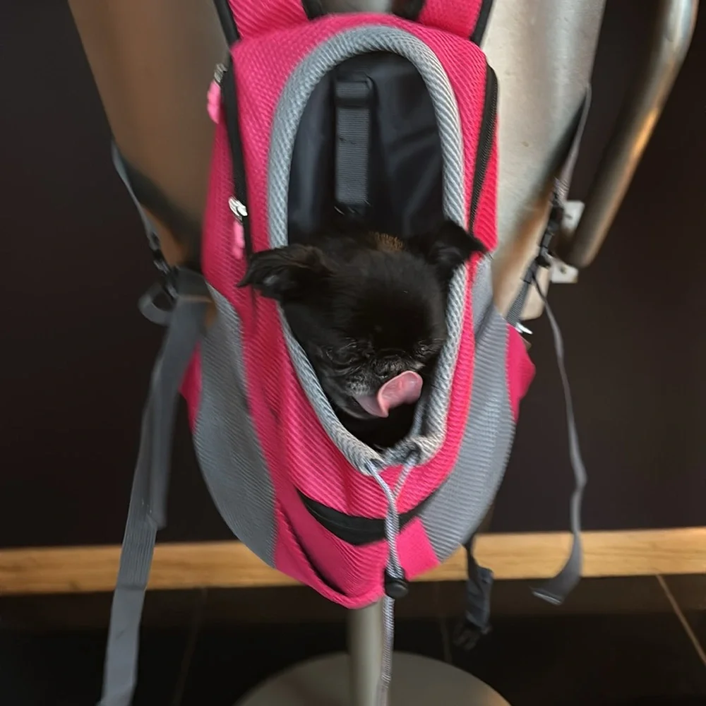 NWOT Dog Carrier
